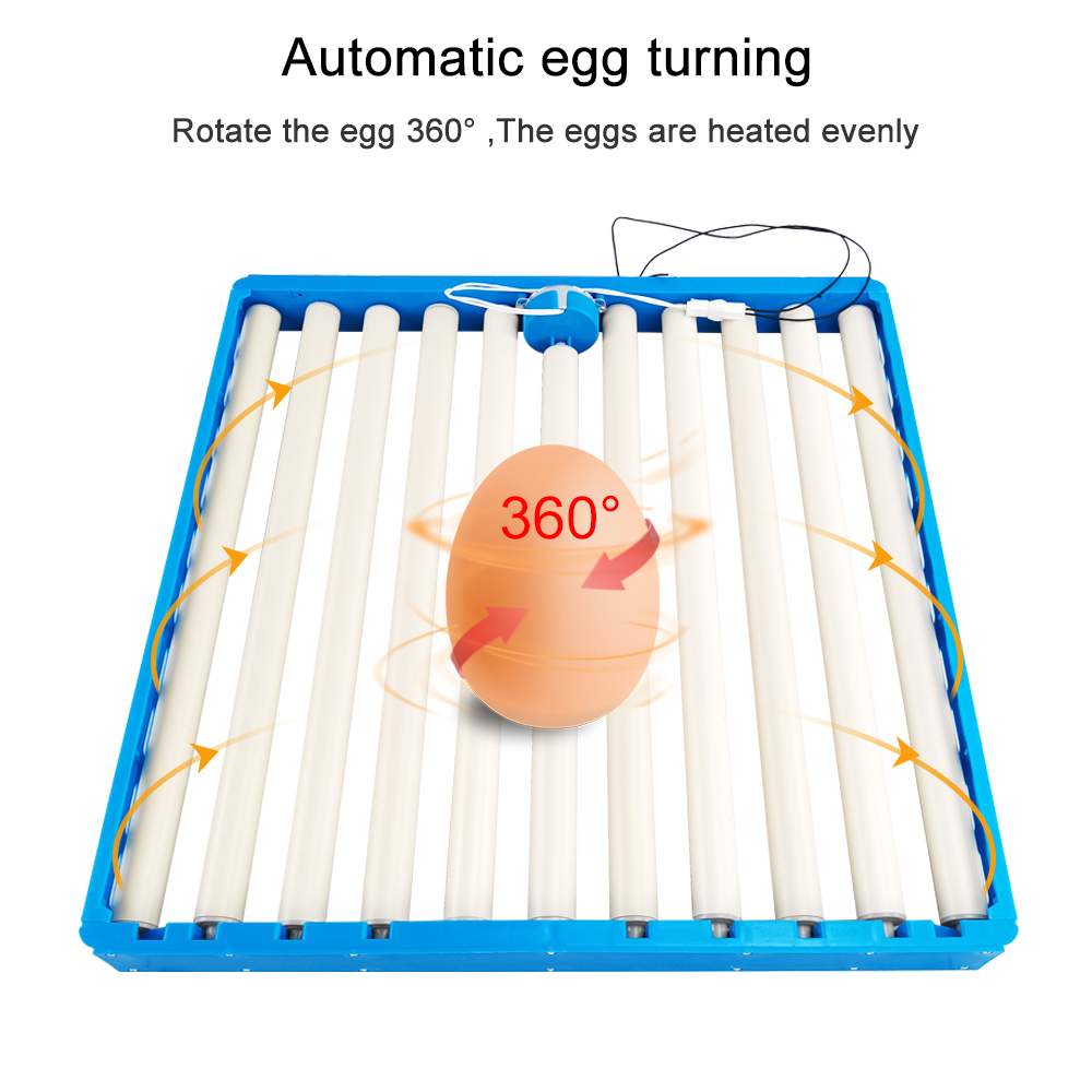 Incubator met 70 eieren Automa - Hunting Quail recensie en prijs